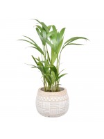 Vaso Talhado Quadrado P