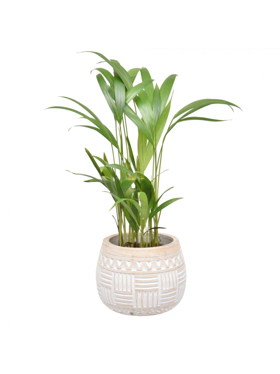Vaso Talhado Quadrado P