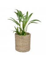 Cachepot Reto Natural M