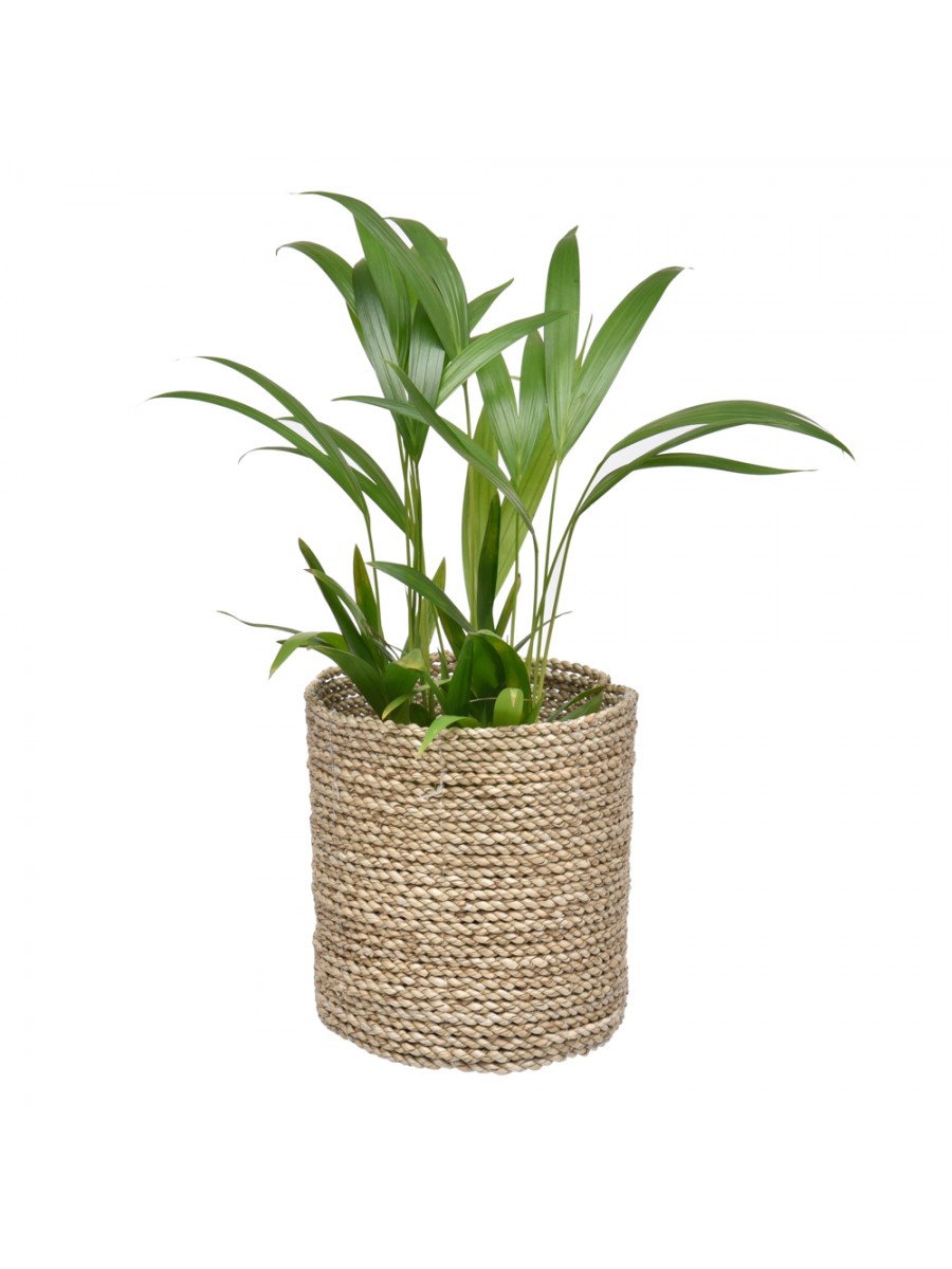 Cachepot Reto Natural M