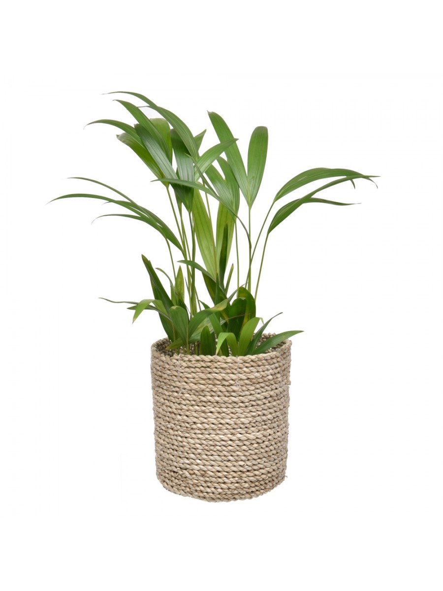 Cachepot Reto Natural P