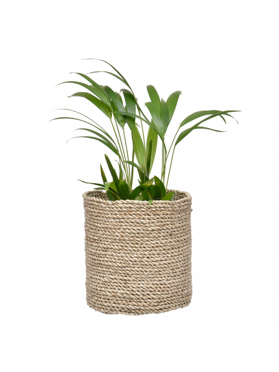 Cachepot Reto Natural G