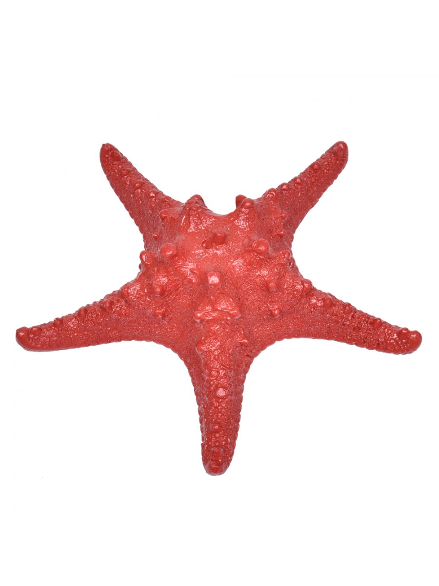 Estrela Ouriço Vermelha