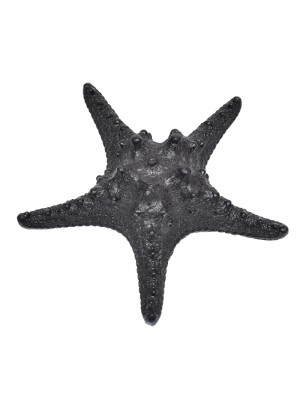 Estrela Ouriço Preta