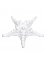 Estrela Ouriço Branca