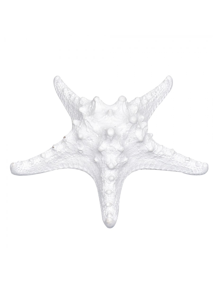 Estrela Ouriço Branca