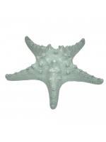 Estrela Ouriço Oliva