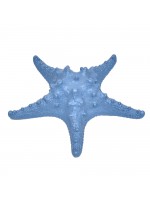 Estrela Ouriço Azul Lápis