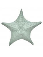 Estrela do Mar Oliva