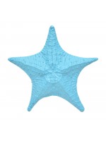Estrela do Mar Turquesa