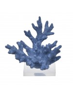 Coral Pequeno Azul Lápis