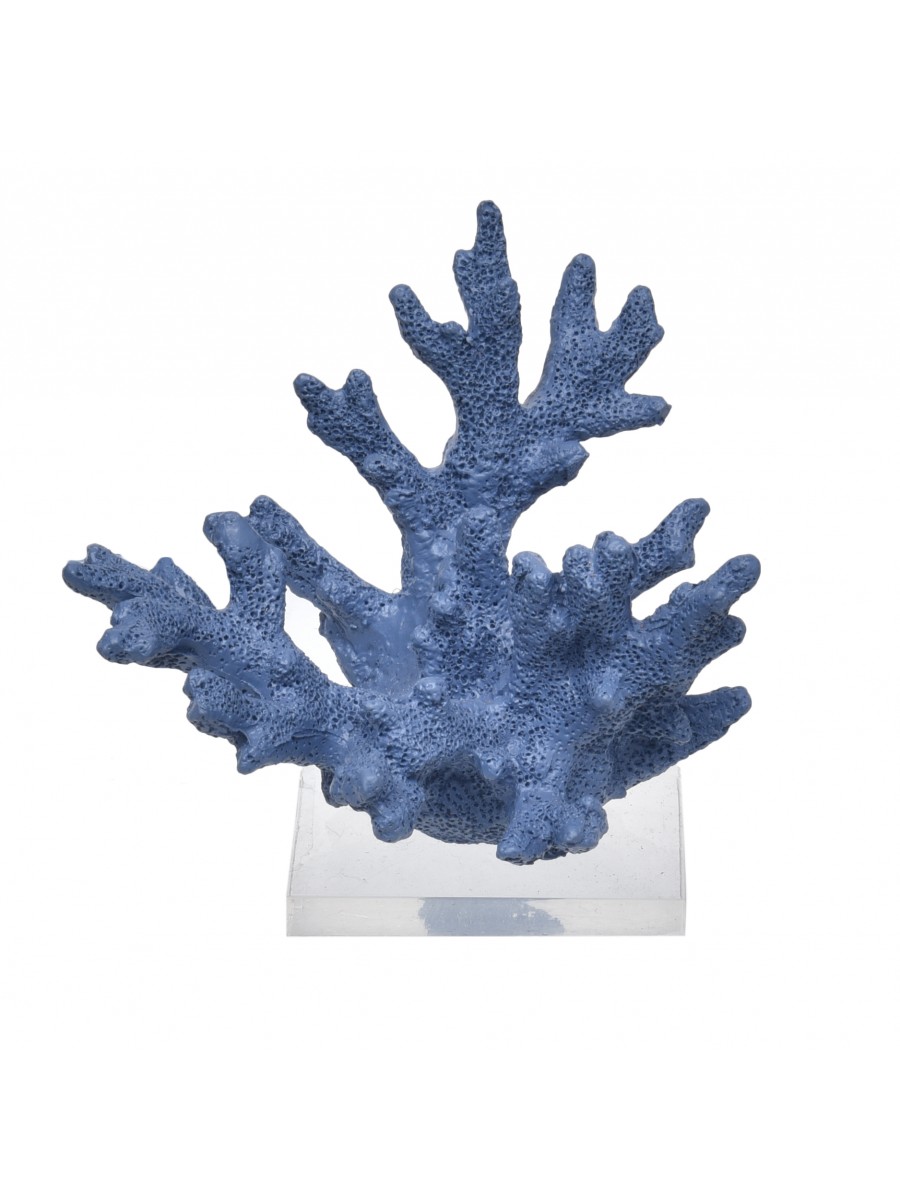 Coral Pequeno Azul Lápis