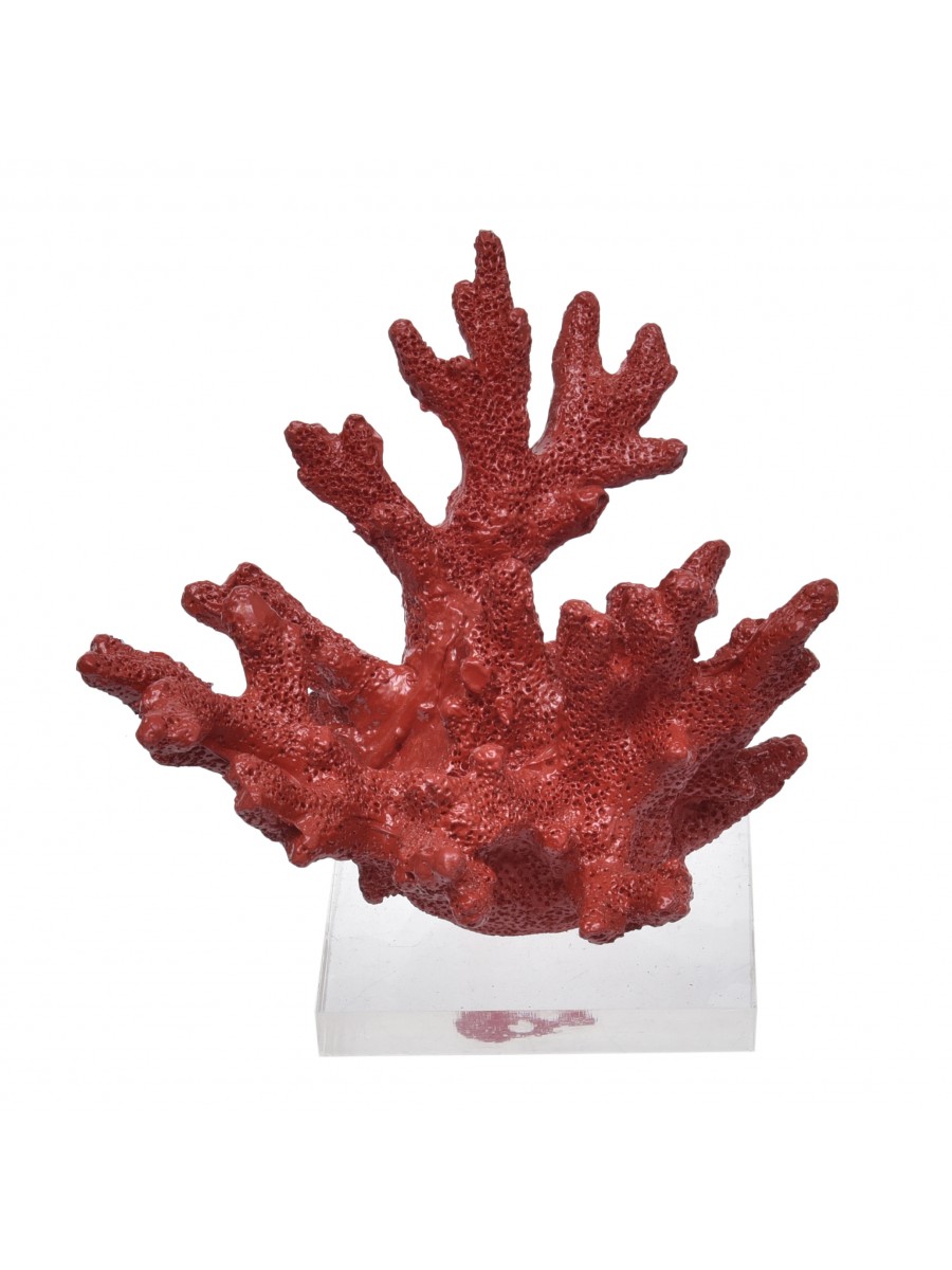 Coral Pequeno Vermelho