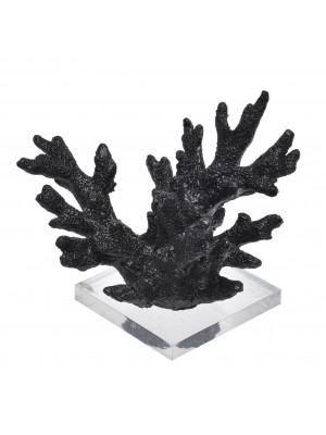 Coral Pequeno Preto