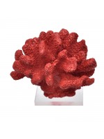 Coral Bola Vermelho