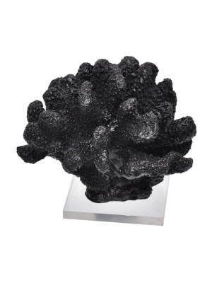 Coral Bola Preto