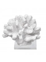 Coral Bola Branco