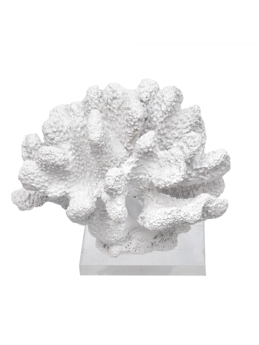 Coral Bola Branco