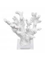 Coral Médio Branco