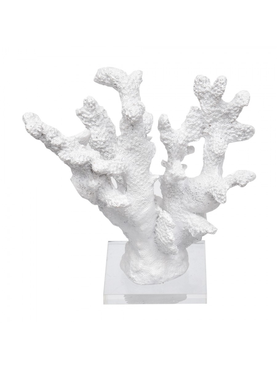 Coral Médio Branco