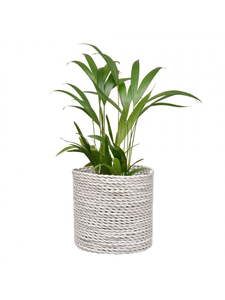 Cachepot Reto Branco M