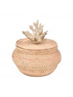 Caixa Ratan Abaloada Coral Palha