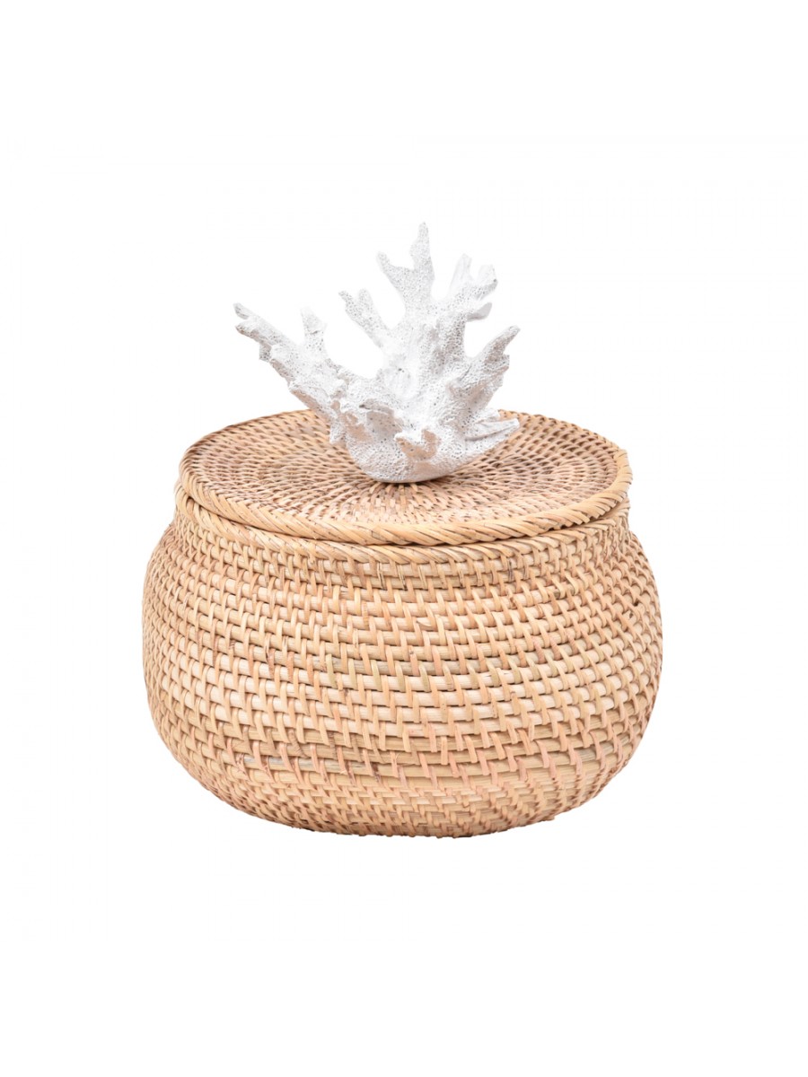 Caixa Ratan Abaloada Coral Branca