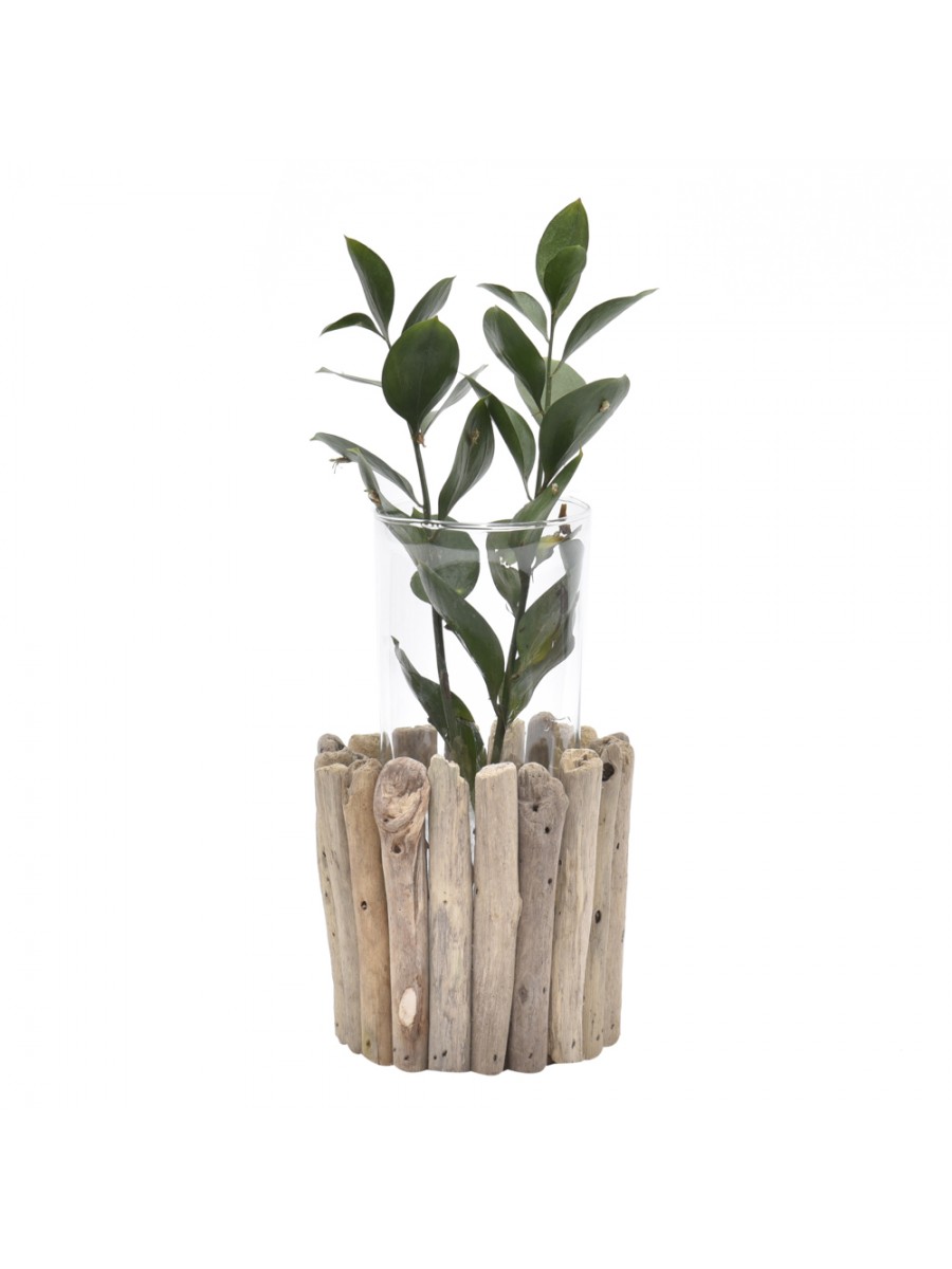 Vaso Dry PP