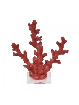 Coral Fino Vermelho