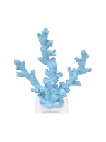 Coral Fino Turquesa