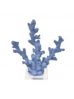 Coral Fino Azul Lápis