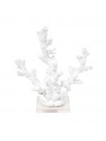 Coral Fino Branco
