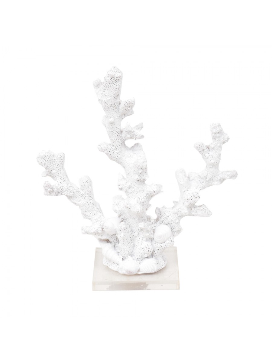 Coral Fino Branco
