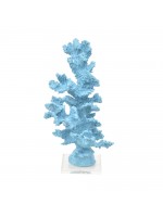 Coral Alto Turquesa