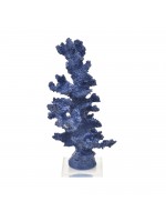 Coral Alto Azul Marinho
