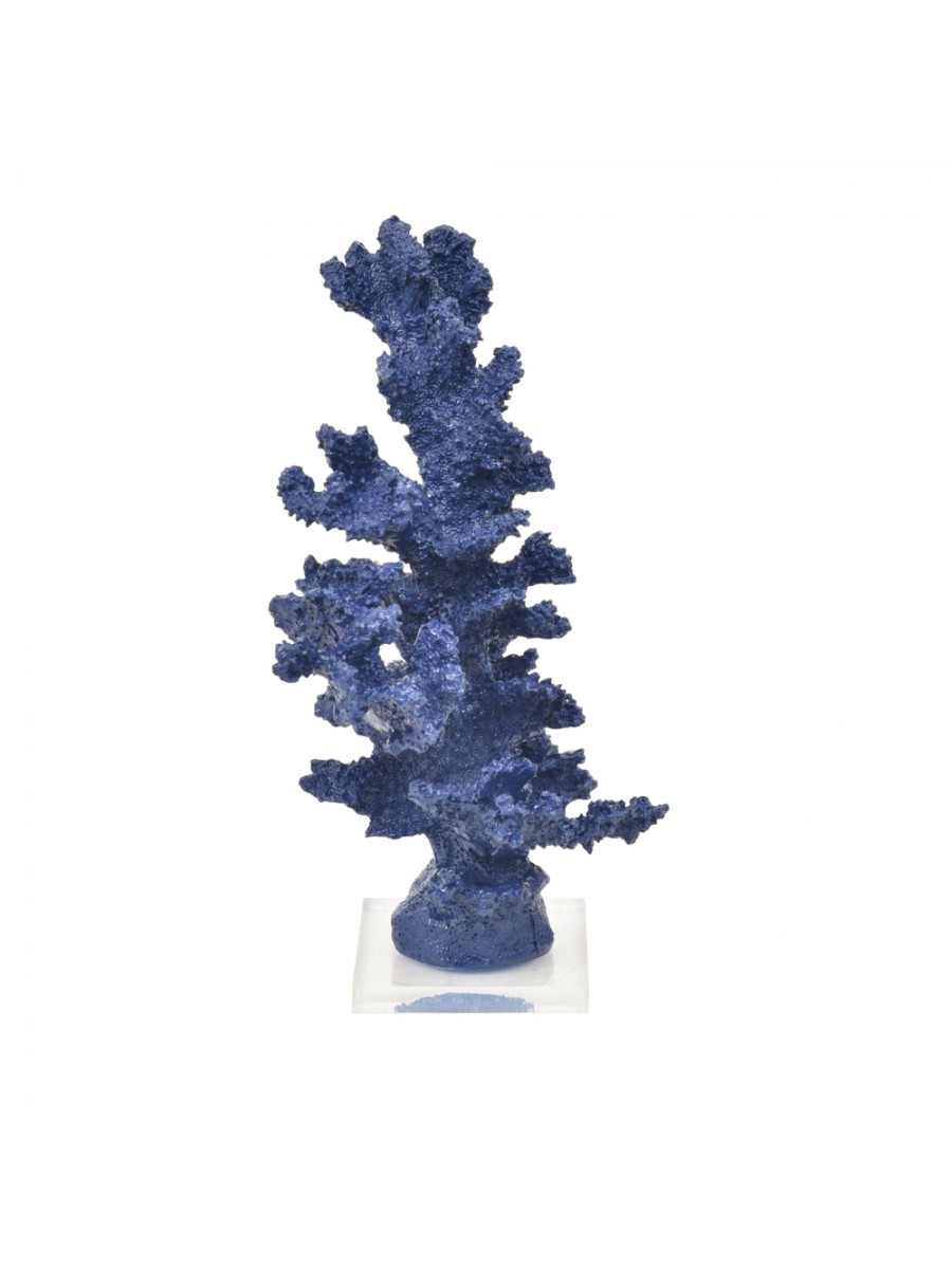 Coral Alto Azul Marinho