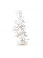 Coral Alto Branco
