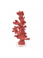 Coral Alto Vermelho