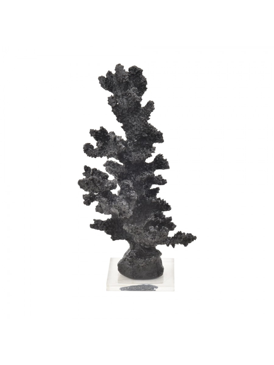 Coral Alto Preto