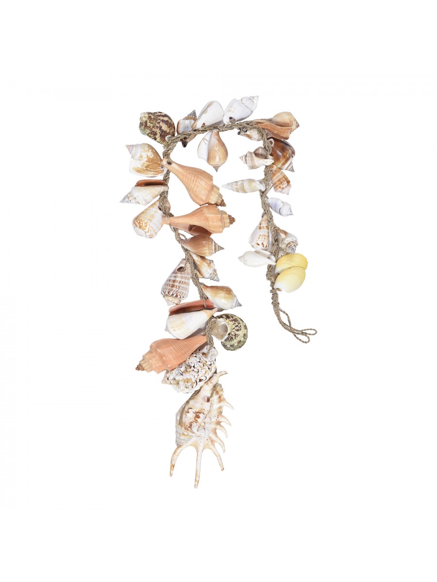 Pingente Concha Color M 